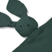 Load image into Gallery viewer, Jasper